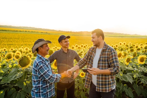 Skupina farmářů na slunečnicovém poli, kteří si potřásají rukama. — Stock fotografie