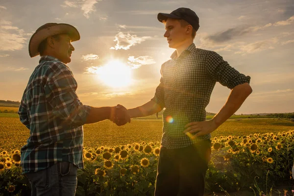 Kaksi maanviljelijää seisoo vehnäpellolla ja kättelee — kuvapankkivalokuva