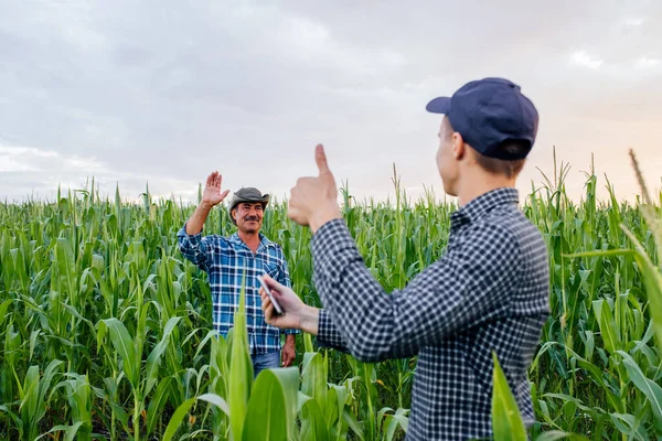 son and father, farmers standing in a corn field with tablet