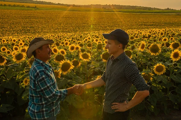 Dos granjeros machos se dan la mano. Sobre el fondo de un campo de girasol, — Foto de Stock