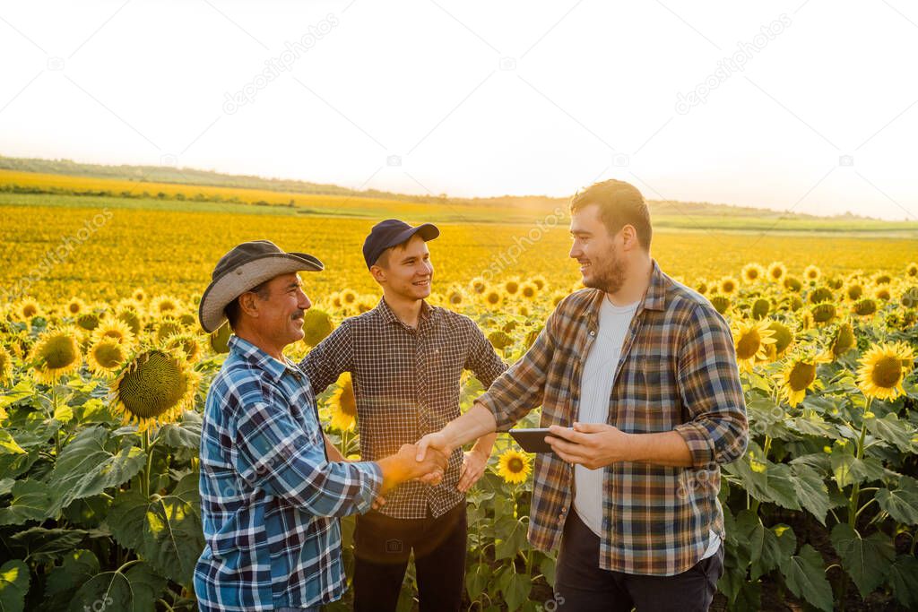 a group of farmers in the sunflower field, shaking hands.