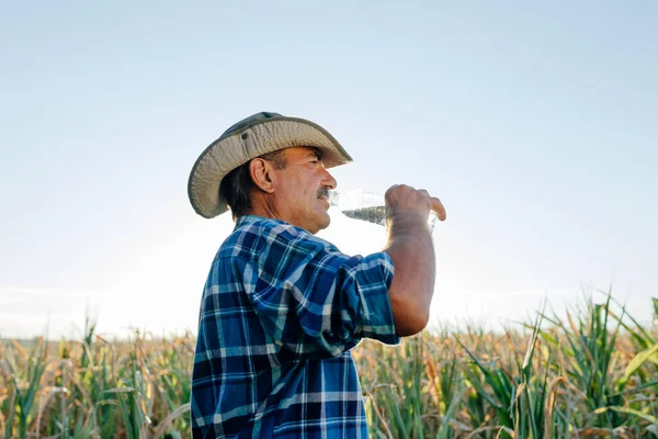 Vista lateral de un agricultor senior con una botella de agua en la mano, — Foto de Stock