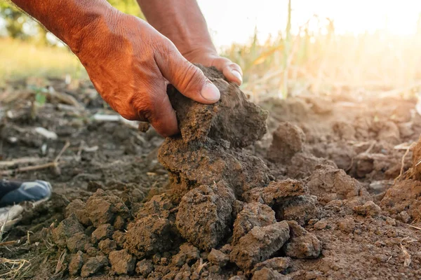 Primer plano de las manos masculinas tocando tierra seca en una agricultura — Foto de Stock