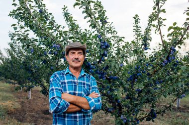 Gün batımında meyve bahçesinde duran olgun bir çiftçinin ön görüntüsü..