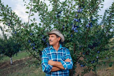 Erik bahçesinde endişeli kıdemli çiftçi,