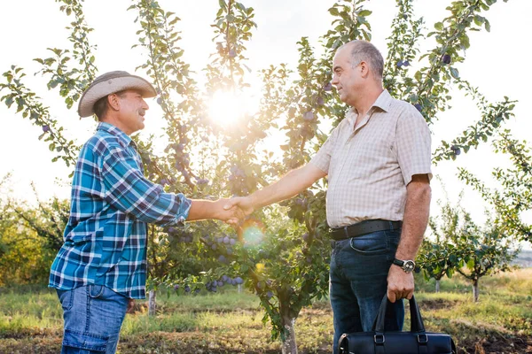 Zemědělský koncept, zemědělci a podnikatel potřásající rukou na švestkovém sadě. — Stock fotografie