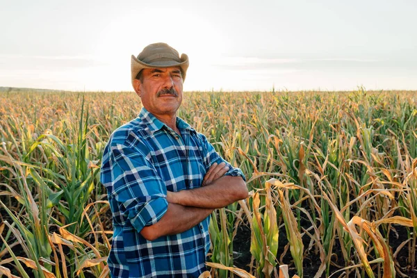 Retrato de hombre de mediana edad con sombrero, brazos cruzados y mirando a la cámara, — Foto de Stock