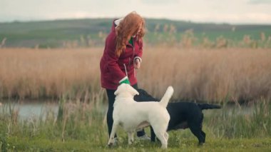 Kızıl saçlı bir kadın, biri beyaz diğeri siyah olmak üzere iki köpekle neşe içinde gündüz vakti, sakin bir su kütlesinin yanında, geniş bir çayır tarlasında etkileşime girer..