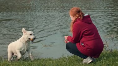 Kırmızı kapüşonlu genç bir kadın gölün kenarında diz çöker, beyaz köpeğinin neşeyle etrafa sıçrayıp güneşli bir günde sudan bir top çıkarmasını izler..