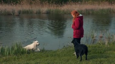 Kırmızı ceketli bir kız, sakin bir göletin kenarında durup iki köpeği izliyor. Bir köpek neşeyle suya sıçrarken diğeri sabırla kıyıda bekler..