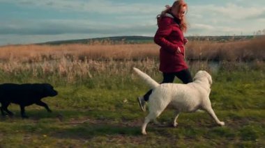 Kıvırcık saçlı bir kadın, öğleden sonra açık mavi bir gökyüzünün altında iki köpeğiyle birlikte çimenli bir tarlada neşeyle koşar..