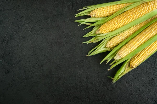 Closeup Ripe Fresh Corn on Dark Background — Stock Photo, Image