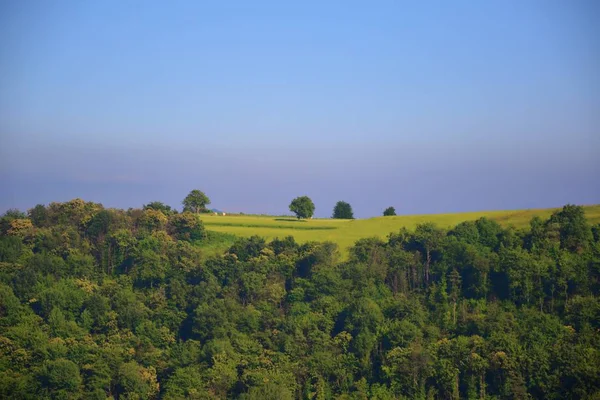 Minimalisme bleu et vert , — Photo