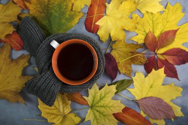 Bir fincan çay ile kavram sonbahar fotoğraf