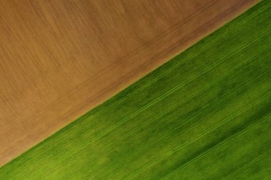 Yerden ve çim doku arka plan havadan fotoğraflandı