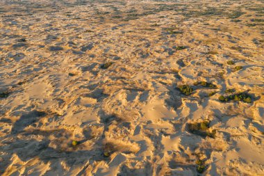 Çöl batımı. Sıcak renkleri olan güzel bir çöl. Ukrayna 'nın en iyi manzaralı leshkovskaya Çölü