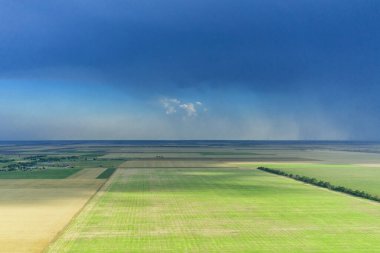 Yeşil buğday tarlaları üzerinde kara fırtınalı bulutlar. Yağmur mevsimi. Yaz yağmuru