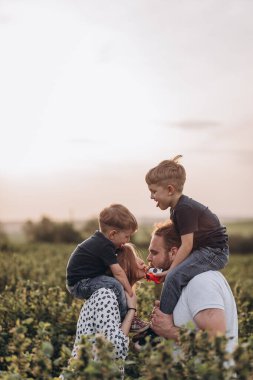 Baba, anne ve iki küçük oğul gün batımında üzümlerin yanında yeşil bir tarlada yürüyorlar.