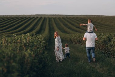 Baba, anne ve iki küçük oğul gün batımında üzümlerin yanında yeşil bir tarlada yürüyorlar.