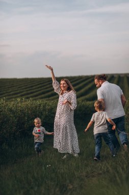 Baba, anne ve iki küçük oğul gün batımında üzümlerin yanında yeşil bir tarlada yürüyorlar.