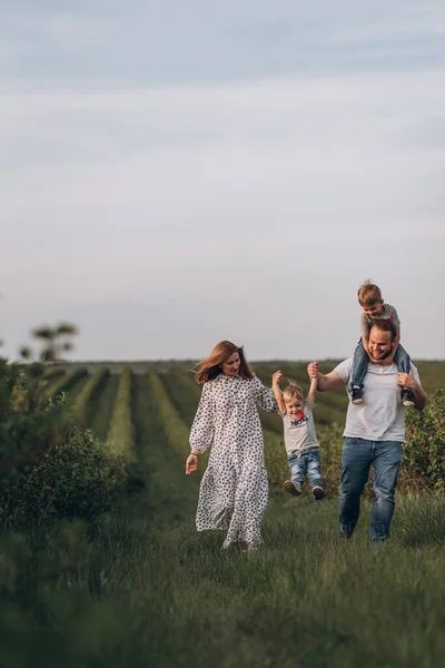 Father Mother Two Little Sons Walk Summer Green Field Currants — Stock Photo, Image