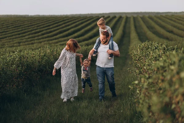 Father Mother Two Little Sons Walk Summer Green Field Currants — Stock Photo, Image