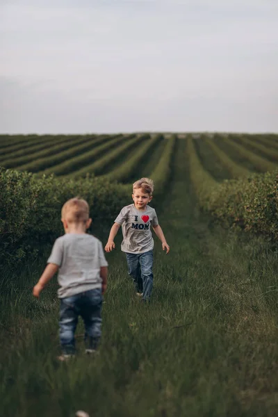 Dos Hermanos Juegan Naturaleza Concepto Una Familia Muy Feliz —  Fotos de Stock