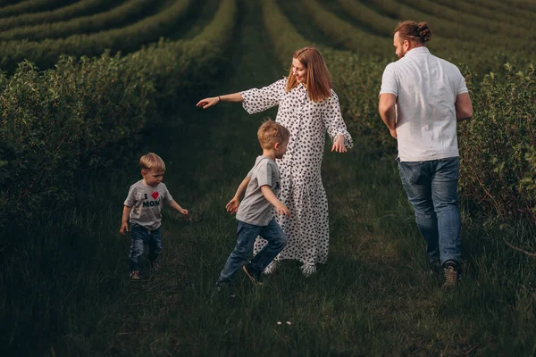 Father Mother Two Little Sons Walk Summer Green Field Currants — Stock Photo, Image