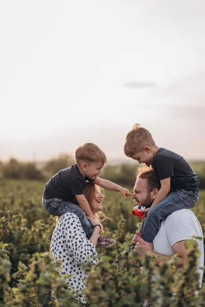 Padre Madre Dos Hijos Pequeños Caminan Campo Verde Verano Cerca —  Fotos de Stock