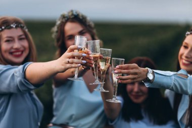 Tarlada gelin için düzenlenen kadınlar partisi. Şampanya, lavanta, pastalar ve düğünden önce kız kıza eğlence.