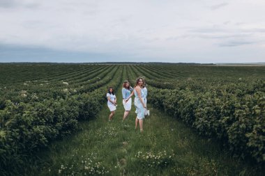 Tarlada gelin için düzenlenen kadınlar partisi. Şampanya, lavanta, pastalar ve düğünden önce kız kıza eğlence.