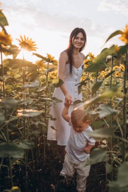 Anne ve oğul ayçiçeği tarlasında sarılır, güler ve oynarlar. Açık havada geçirilen mutlu aile anları. Anneler Günü.