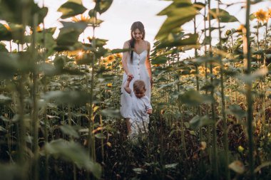 Anne ve oğul ayçiçeği tarlasında sarılır, güler ve oynarlar. Açık havada geçirilen mutlu aile anları. Anneler Günü.