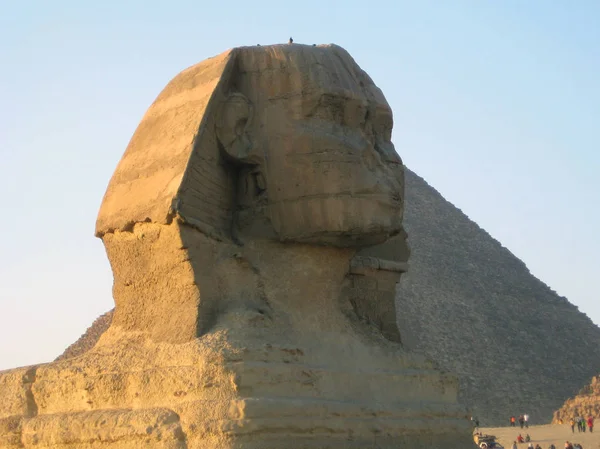 Statue Sphinx Gizeh Caire Egypte — Photo