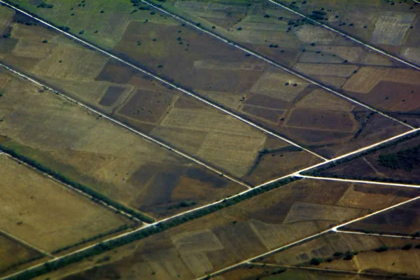 フィールド道路や飛行機夏田園地帯からの木の空撮 幾何学的図形と自然な背景 — ストック写真