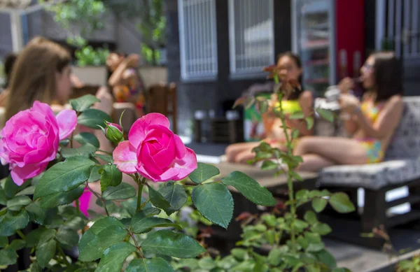 İnsanlar rahatlatıcı bir açık havada çubuğunda arka plan bulanık ve ön plan güzel gül çiçekleri ile soyut sahne