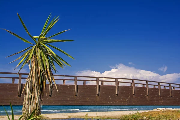 Palme Und Alte Holzbrücke Sandstrand Vor Blauem Himmel Und Azurblauem — Stockfoto