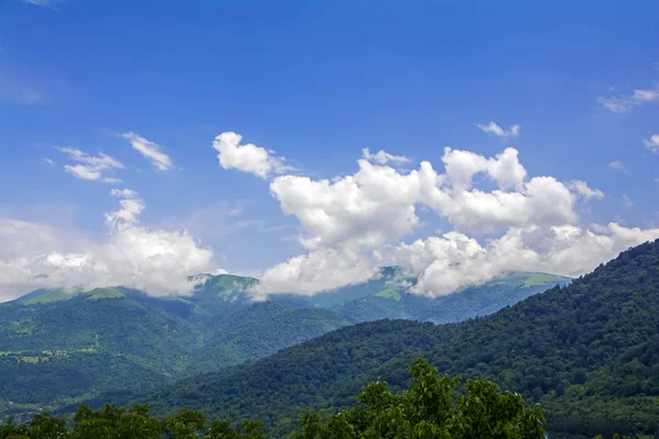 Mountain Peaks Covered Green Forest Blue Summer Sky White Clouds — Stock Photo, Image