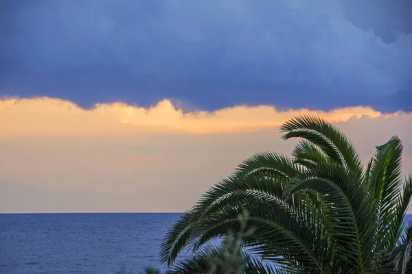 Вершина Зеленой Пальмы Против Синего Моря Прекрасным Закатом Над Горизонтом — стоковое фото