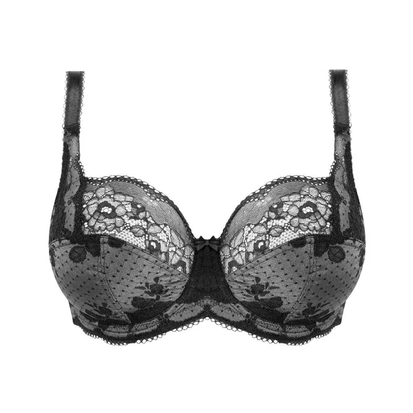 Gri ipek seksi siyah beyaz arka plan üzerinde izole sutyen ittirir