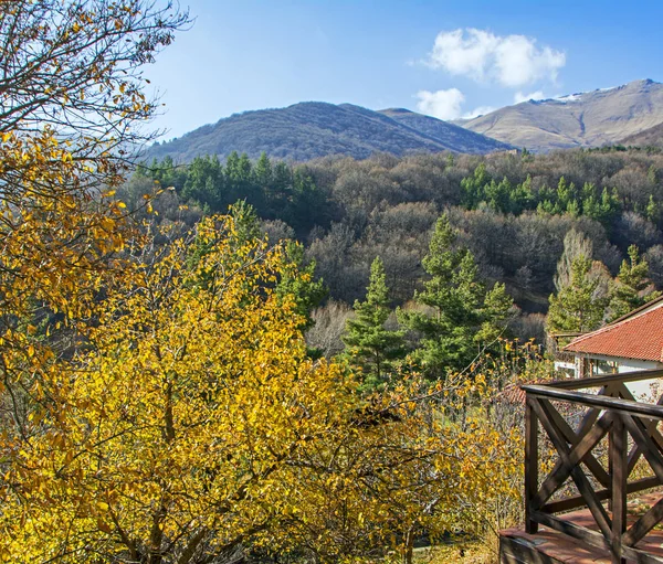 Hermoso Paisaje Con Árboles Coloridos Montañas Aghveran Armenia —  Fotos de Stock