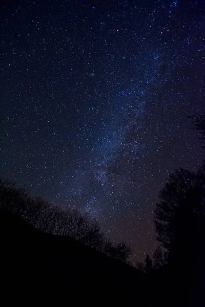 Зоряне Небо Ніч Галактики Чумацький Шлях Темний Ліс Дерева Силуети — стокове фото