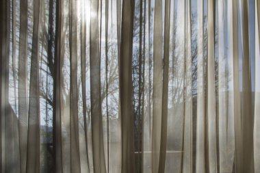 Pencere büyük salon, Beyaz şeffaf perde, dış görünümü ağaçlar ve mavi gökyüzü arka plan üzerinde soyut sahne