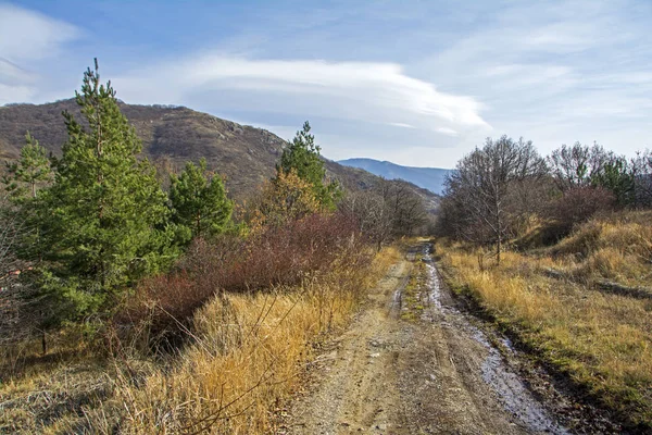 Dirt road perspective in the spring forest with mountains and blue sky on background