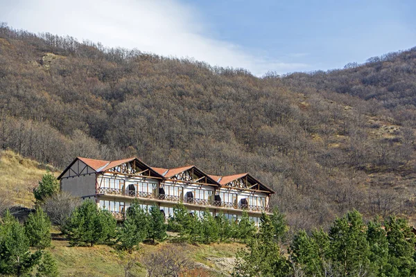 Güzel Bir Yeşil Çam Ağaçları Altında Mavi Gökyüzü Ile Bir — Stok fotoğraf