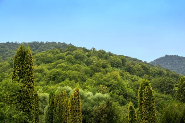 Гори Пагорби Вкриті Лісом Під Блакитним Небом Вічнозеленими Кипарисами Передньому — стокове фото