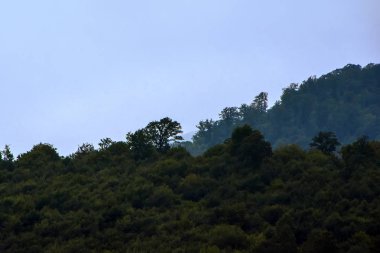 Tropikal yağmur ormanları, siluet dağ Güneş battıktan sonra mavi tatlı alacakaranlık gökyüzünü