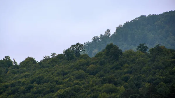 Синий Сладкий Сумерки Небо После Заката Силуэт Горы Тропических Лесов — стоковое фото