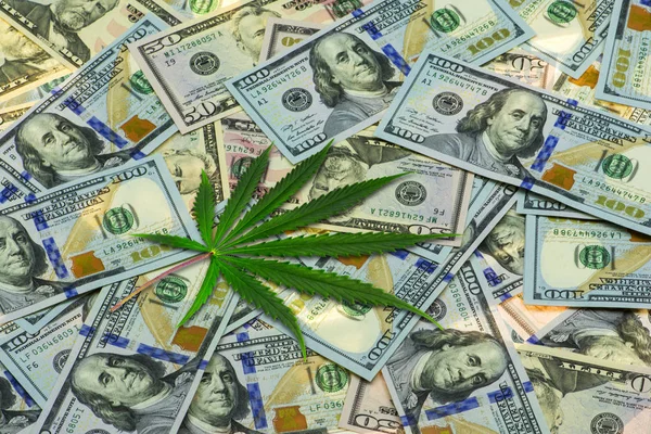 Yerevan Armênia Outubro 2017 Folha Cannabis Verde Sobre Dólares Americanos — Fotografia de Stock