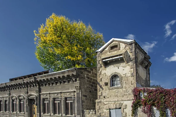 Old Classical Stone Building Big Green Tree Blue Sky Gyumri — Stock Photo, Image